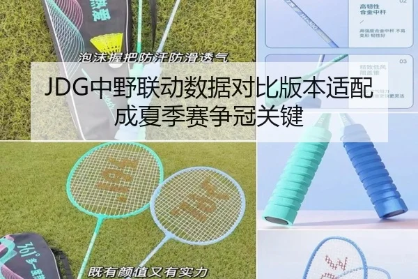JDG中野联动数据对比版本适配成夏季赛争冠关键